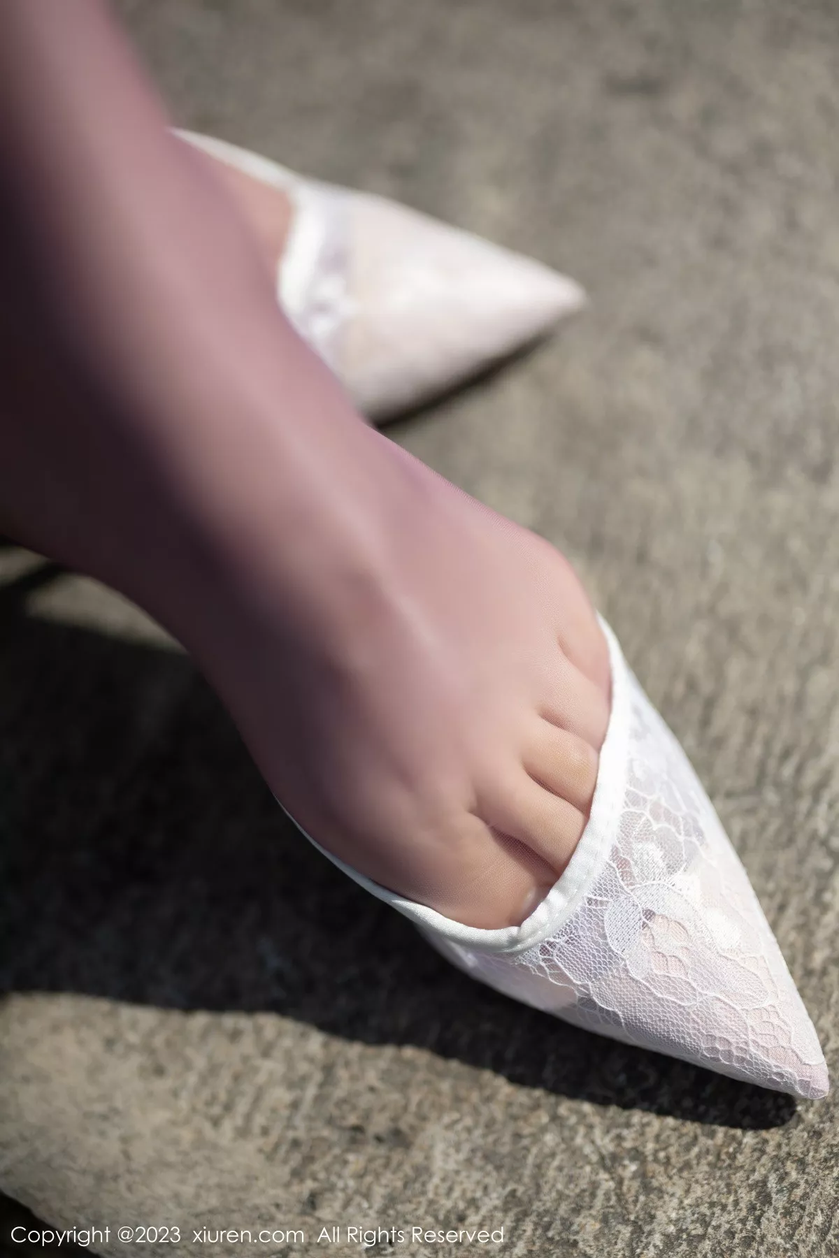 徐莉芝写真